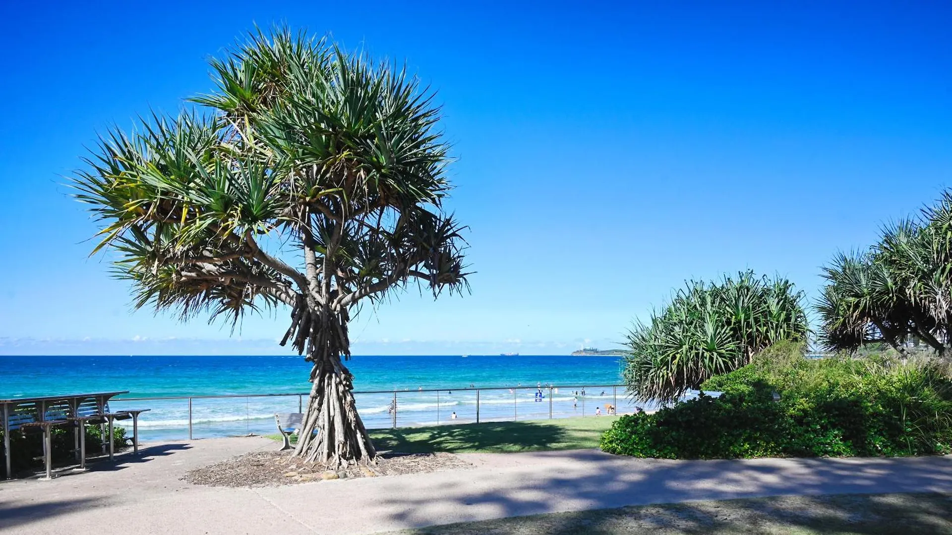 Beachfront Choices Choices Choices 알렉산드라헤드랜드