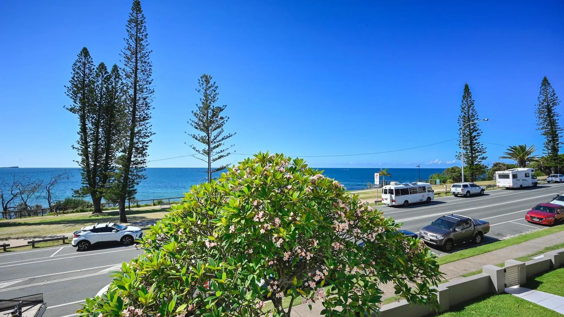Beachfront Choices Choices Choices Alexandra Headland